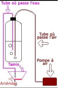 Fabrication maison d'un éclosoir à artémias