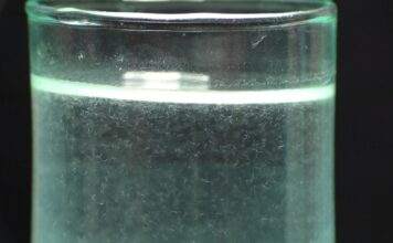 Les anguillule du vinaigre (2)