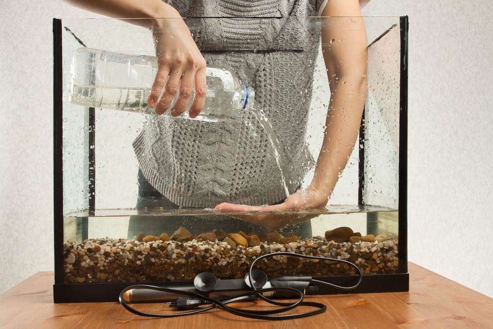 installer aquarium (2)