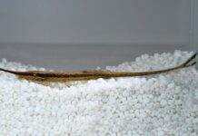 Silure aiguille