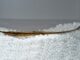 Silure aiguille