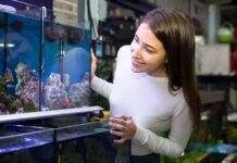 Aquarium faut-il acheter un bac cuve nue ou tout équipé