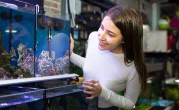 Aquarium : faut-il acheter un bac cuve nue ou tout équipé ? Aquarium faut-il acheter un bac cuve nue ou tout équipé