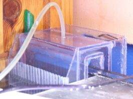 Mise en place dans le bac