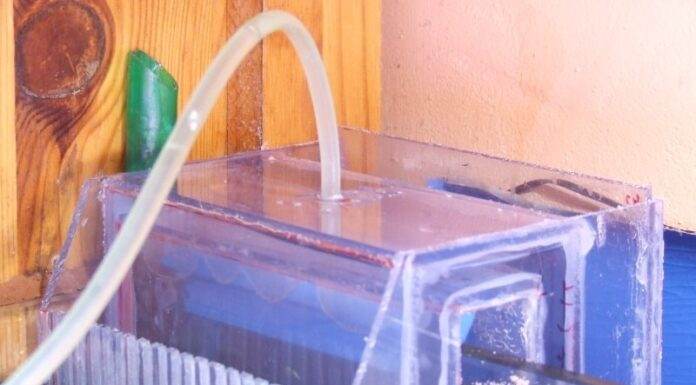 Mise en place dans le bac