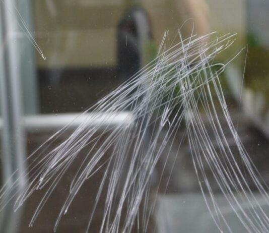 Astuce pour enlever les rayures sur les vitres d’un aquarium
