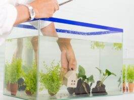 Mon sol va t'il supporter la charge de mon aquarium