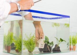 Mon sol va t’il supporter la charge de mon aquarium ? Mon sol va t'il supporter la charge de mon aquarium