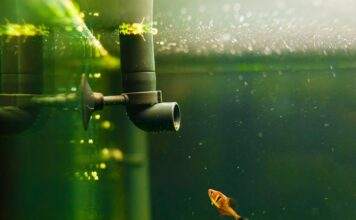 Quel système de filtration choisir pour mon aquarium