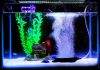 aquarium bulleur la nuit