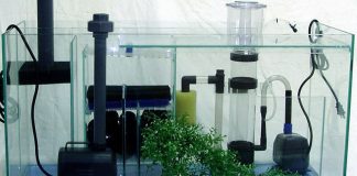 Les matériaux de filtration en aquarium