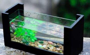 Définir les termes pour dureté de l’eau en aquarium dureté de l'eau en aquarium