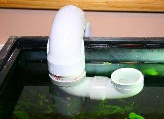 Changement d’eau par goutte à goutte (1)1